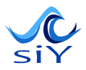 siY specialized consulting firm